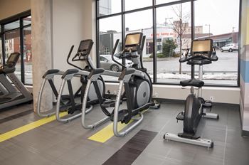 Cardio equipment in the fitness center set up to look out the window.